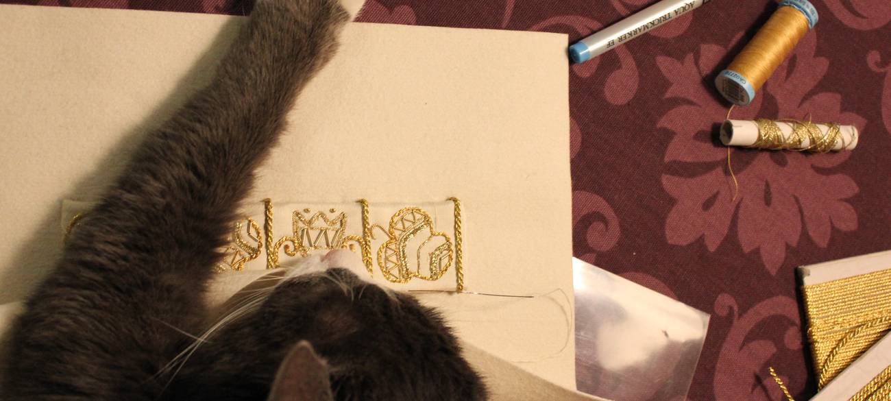 Kuldtikand kassi haardes